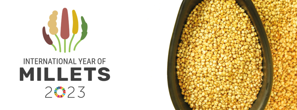 Millets are collective group of small seeded annual grasses that are grown as grain crops, primarily on marginal land in dry areas of temperate, sub-tropical and tropical regions.